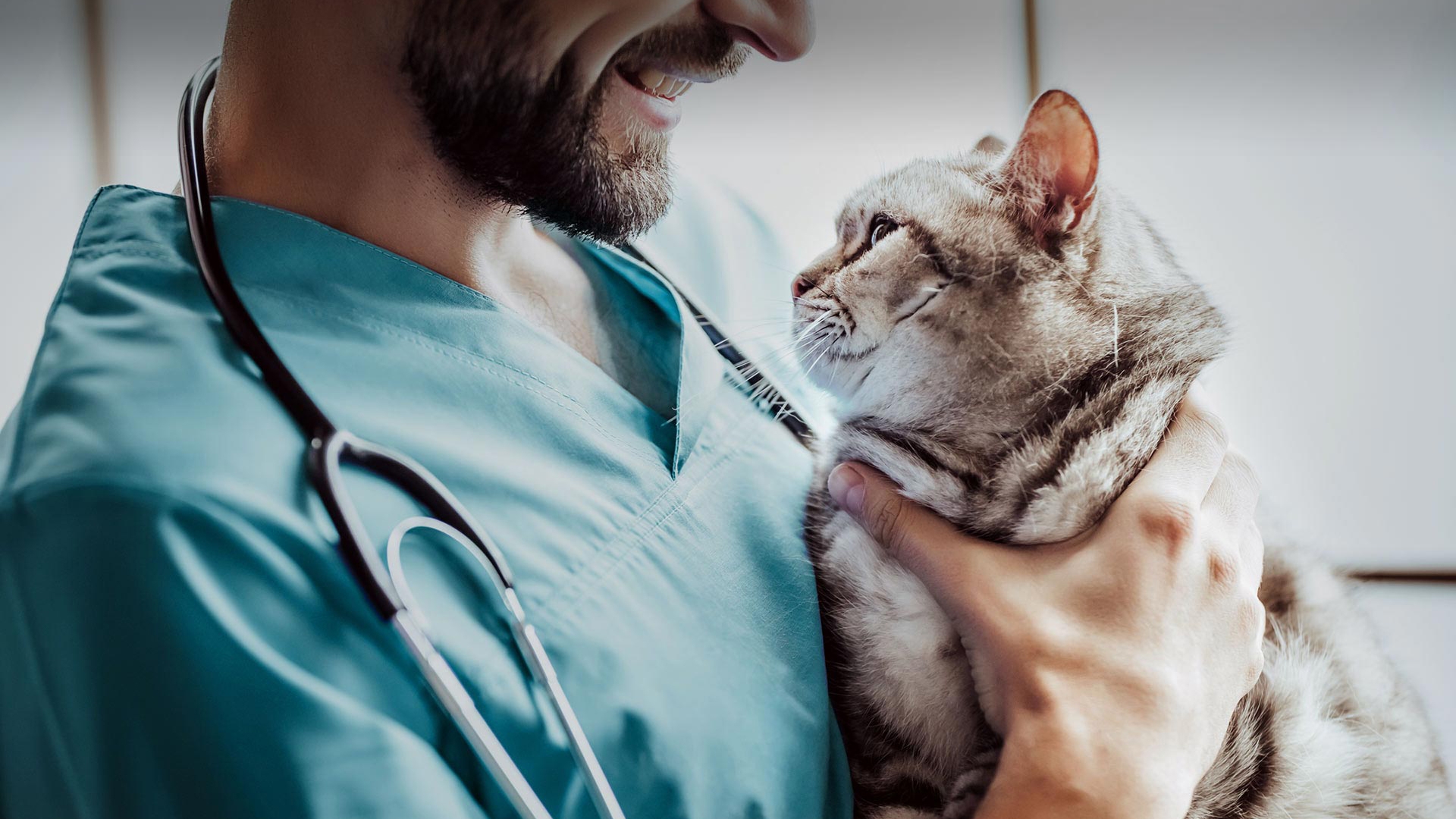 Kalkandere Veteriner